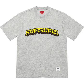 Supreme Block Arc S/S Top Tröjor Grå | SE265LH