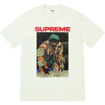 Supreme Ronin Tee T-shirt Mintgröna | SE353EX